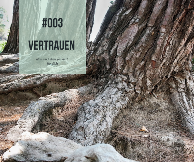 #003 Vertrauen